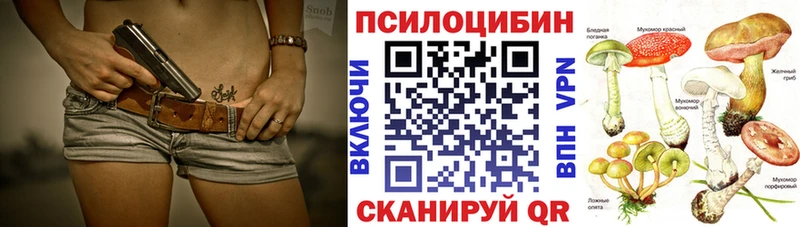 Галлюциногенные грибы Psilocybe  Кировград 